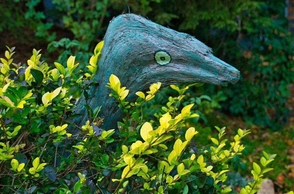 Shrub Raptor